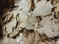 корм для аквариумных рыбок, фотография 12