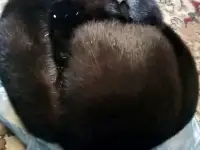 Норковый шапка, фотография 6