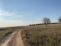 Продажа земельного участка, Алматинская область Илийский район, фотография 4