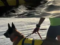 Семинар по службе спасения на водах, фотография 3