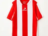 Футболка спортивная demix