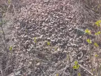 Продается земельный участок с фундаментом в городе Акколь, 8 соток, фотография 4