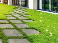 Озеленение, автополив под ключ, фотография 3