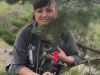 Приглашаю на работу в компанию EWA PRODUCT, фотография 2