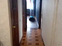 Сдам квартиру, Микрайон Строитель 33/1, фотография 8