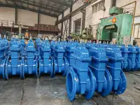 Задвижки клиновые ASME API  Gate valves ASME, фотография 11