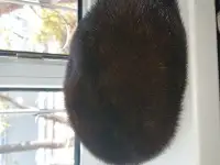 Продам норковый берет, фотография 3