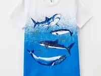 Футболка acoola