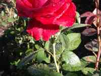 продать дачу, фотография 8