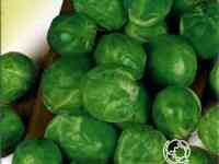 Семена Капуста брюссел. Геркулес 0,2 г