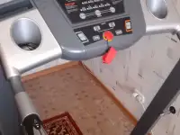 Беговая дорожная LARSEN ТМ 8420 А, фотография 8