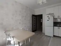 Продам квартиру с евроремонтом, Батыс 2, фотография 8