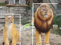 Продажа МАФ, фонтаны, вазоны, клумбы, скамейки, скульптуры садовые, скульптуры животных, фигурки, памятники, бюсты, наци, фотография 4