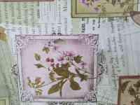 Красивая скатерть клеенка в стиле винтаж поле бабочки, качество, фотография 3