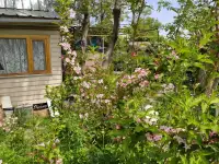 Продается дача. По КВ47 ниже поселка Кендала . 6 сот. Дом 60 кв м., фотография 4