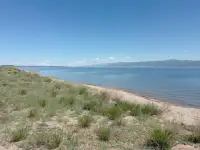 Продам участки на Самарке Миролюбовка, фотография 3