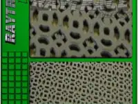 Грязезащитное напольное покрытие антикаблук F-COMBO