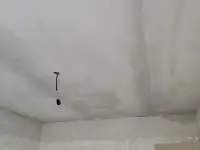 Ищу работу по левкасу, фотография 3