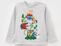 Лонгслив acoola