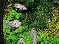 Живые картины, панно, декор из мха в Алматы., фотография 2