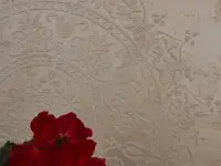 Нанесение декоративной штукатурки и краски, фотография 5