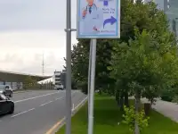 Резмещение рекламных щитов на придорожных столбах и опорах, фотография 9