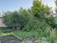 Прлдам или меняю дом в с.Мартук, фотография 6