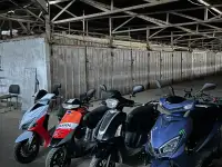 Сдается мопеды ДИО в идеальном состоянии в аренду 50 куб и 125 куб, фотография 4