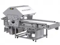 Ленточный фотосепаратор серии Horizont компании CSort, фотография 2