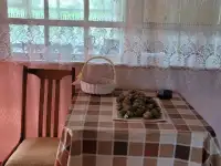 Продам дачу. Садоводческое товарищество Борки, фотография 4