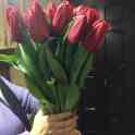 Тюльпаны оптом к 8 марта, фотография 3