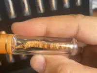 Кордицепс Синенсис 10гр, фотография 2