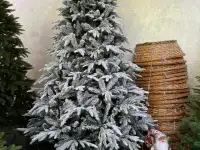 Ёлки в аренду  Ёлки в прокат, фотография 5