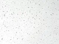 Влагостойкий подвесной потолок Армстронг, фотография 6