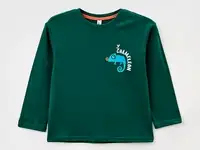 Лонгслив acoola