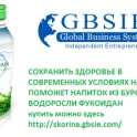 новая компания gbsie