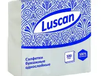 Автоматическая линия для производства и упаковки столовых салфеток, фотография 4