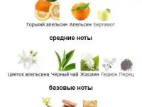 Ароматы пробники Lancоme, Amouage от 1 600 тг., фотография 3