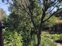 продам дачу из трех комнат в поселке Актас, фотография 6