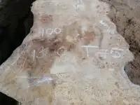 Слэбы от производителя из дуба, шпальтового бука, капового тополя, вербы, капового карагача, ясеня., фотография 6