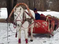 Сани. Дед Мороз на санях, фотография 4