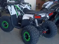 Продам квадроцыклы, фотография 9