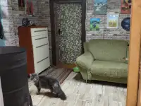 Срочно продам ухоженный дом можно под хозяйство., Район Таловка 56, фотография 4