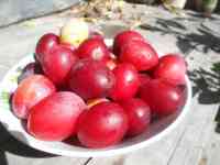 Продается Дом-Мечта, Интернациональная, 30, фотография 12