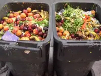 Утилизация пищевых отходов, биологических ТО, фотография 2