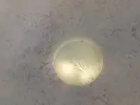 Декоративная штукатурка, фотография 2