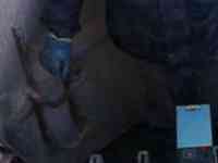 тоо строительное 3 категория, смр лицензии все, 10 лет чистое по нулевкам, фотография 6