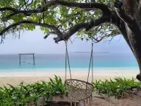 Новый2026 год Огненной Лошади   ТВОЯ НОВАЯ ЖИЗНЬ!, фотография 2