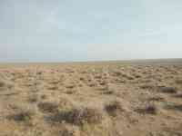 Срочно продам земельный участок, Посёлок Каншенгель, фотография 3