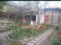 Дом частный, Проезд Конституции, 2, фотография 4